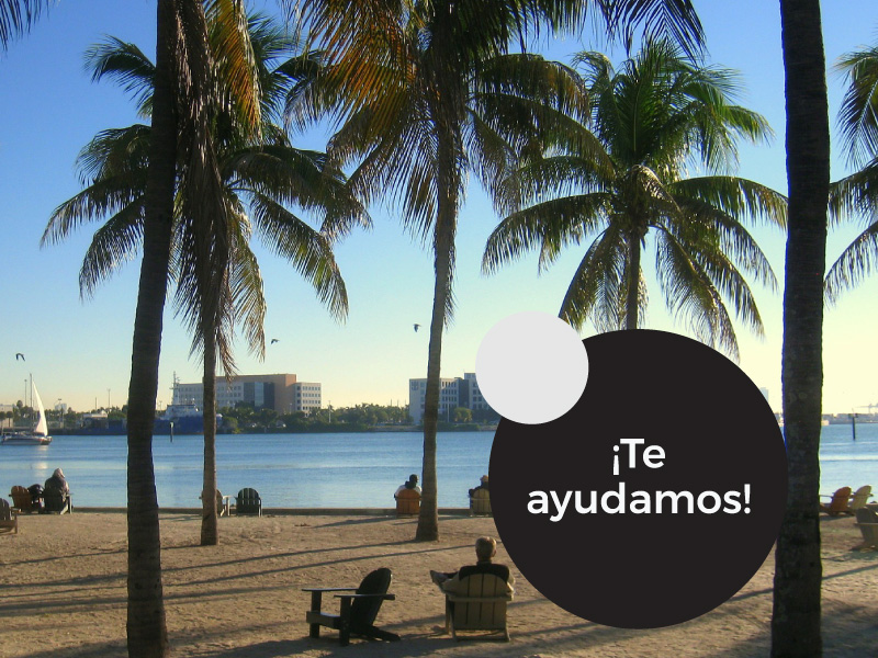 TODO LO QUE HAY QUE SABER PARA ESTABLECER TU FAMILIA EN MIAMI.